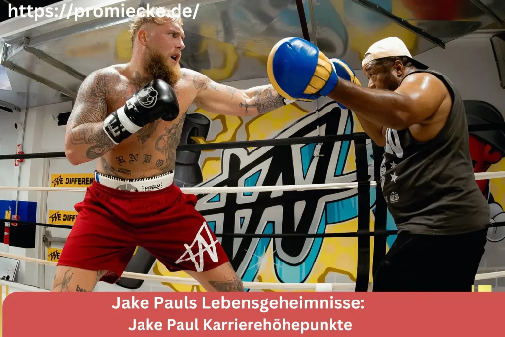 Jake Paul Karrierehöhepunkte