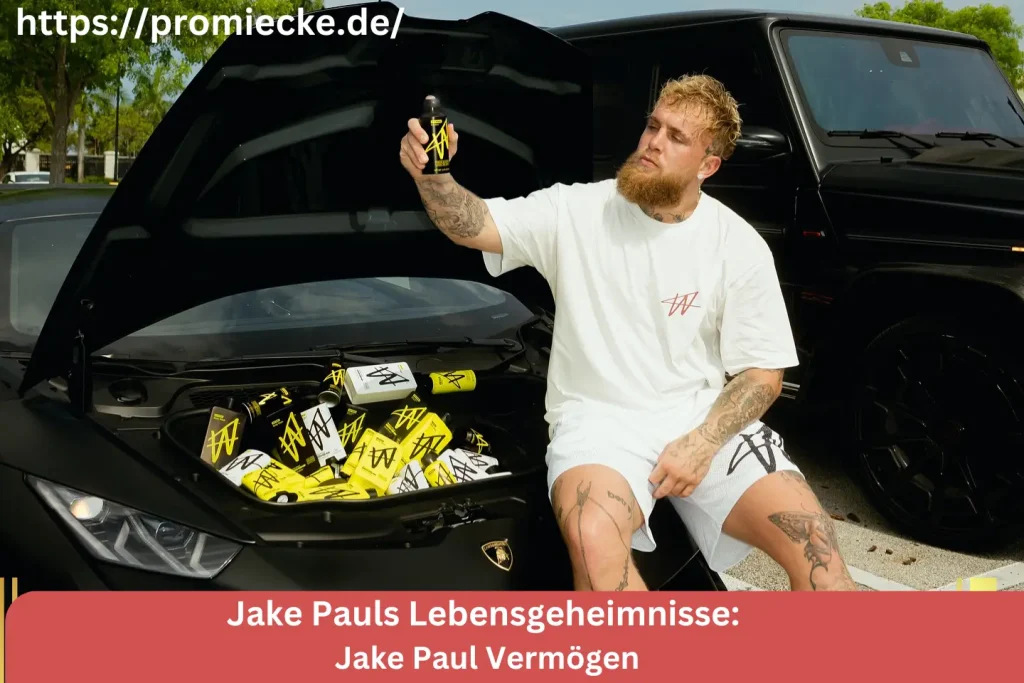 Jake Paul Vermögen