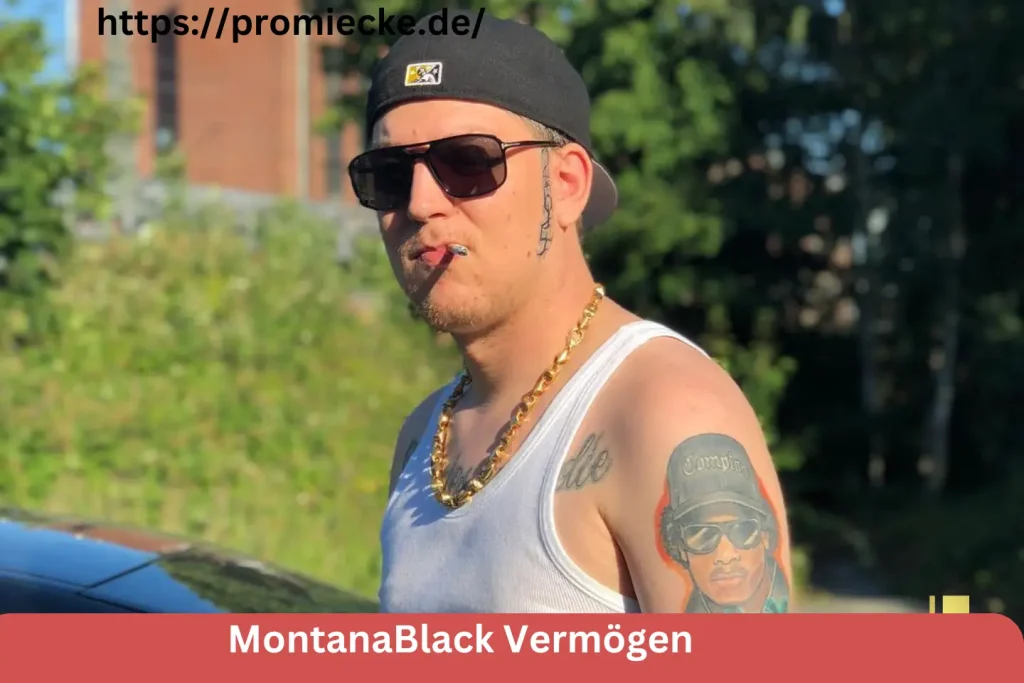 MontanaBlack Vermögen