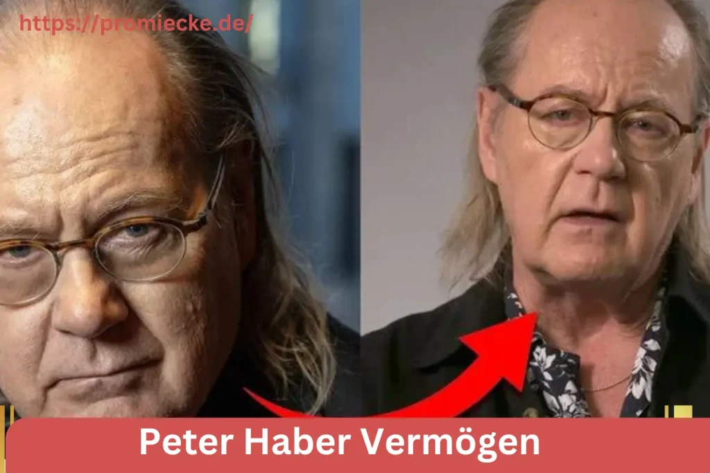 Peter Haber Vermögen