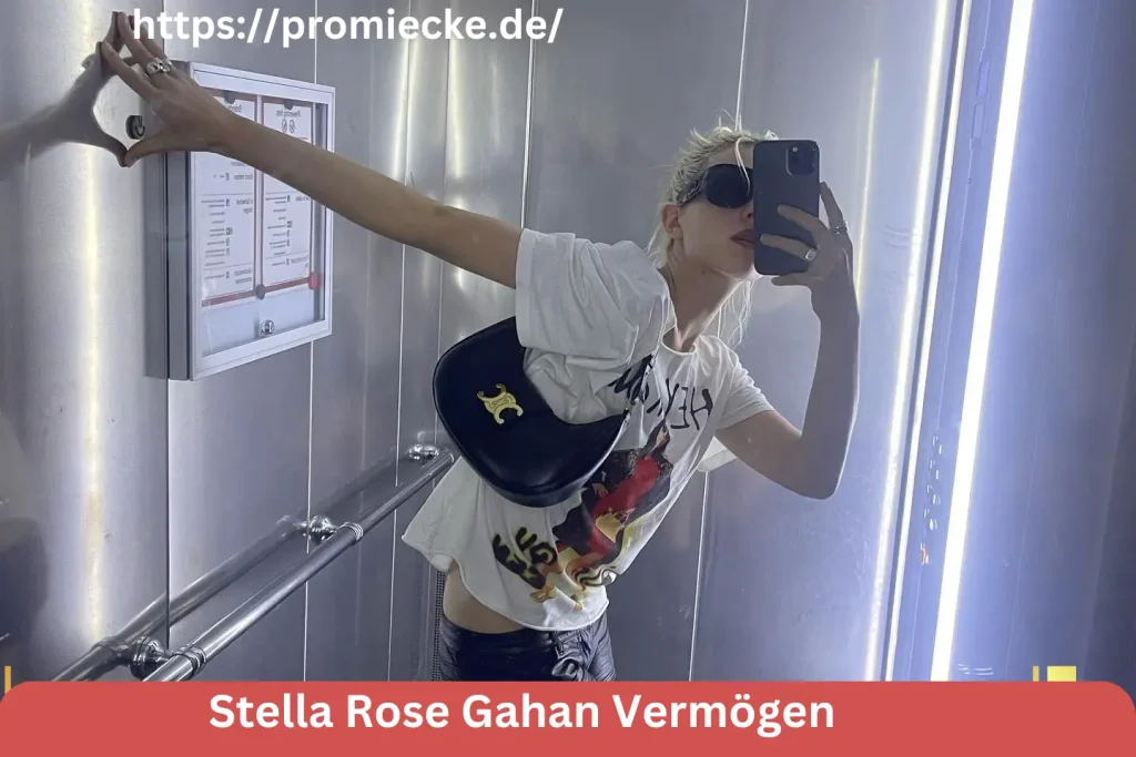 Stella Rose Gahan Vermögen