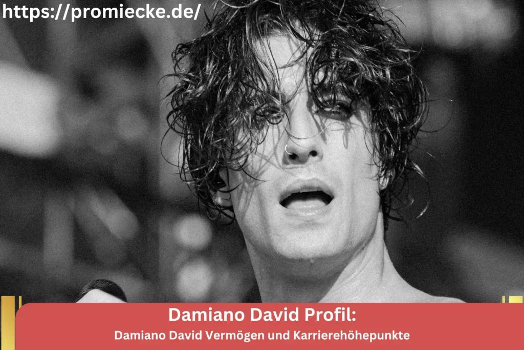 Damiano David Vermögen und Karrierehöhepunkte