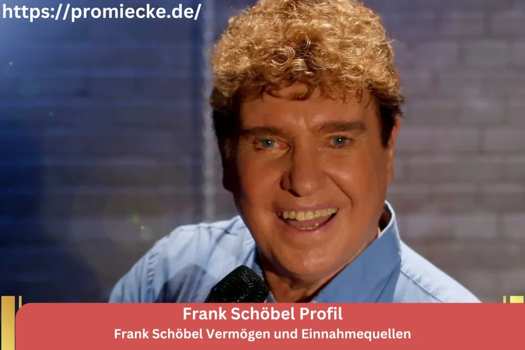 Frank Schöbel Vermögen und Einnahmequellen