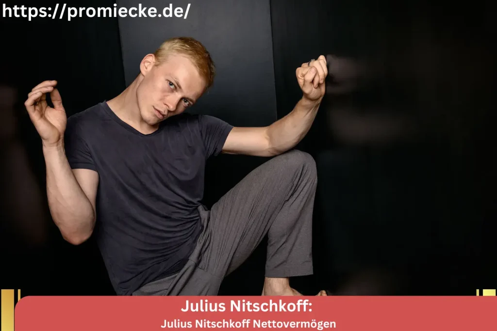 Julius Nitschkoff Nettovermögen