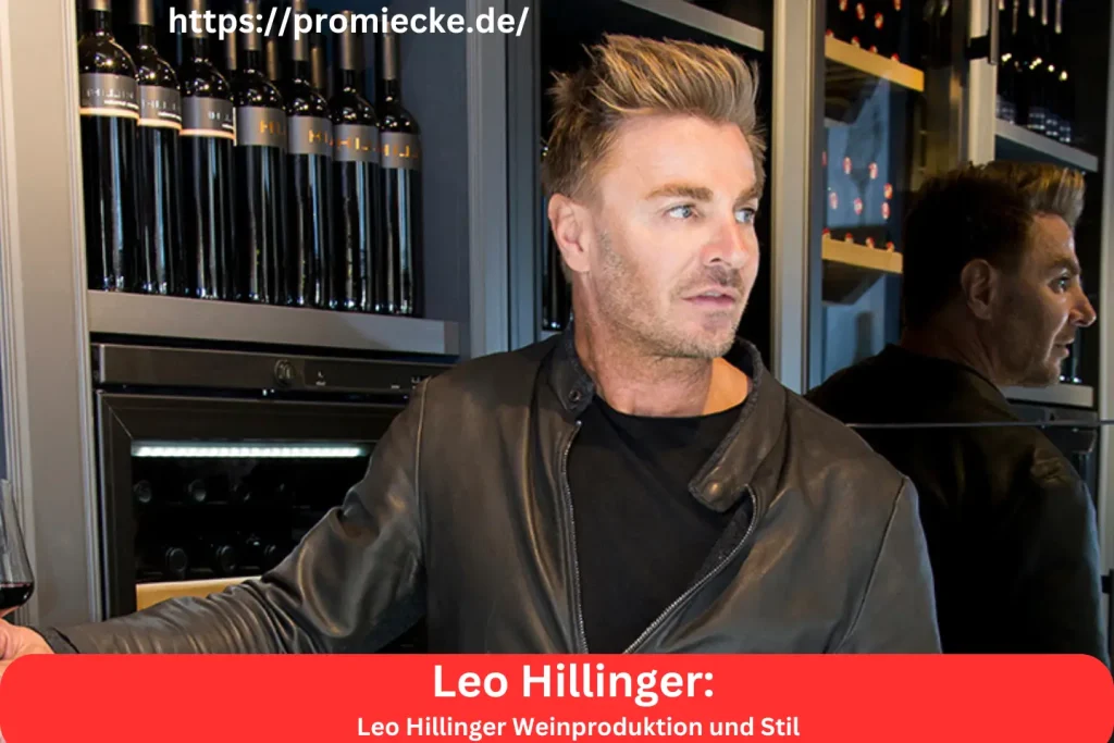 Leo Hillinger Weinproduktion und Stil