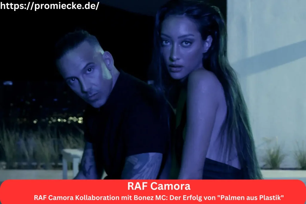 RAF Camora Kollaboration mit Bonez MC: Der Erfolg von "Palmen aus Plastik"