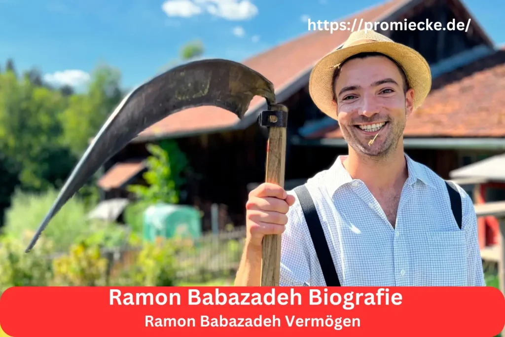 Ramon Babazadeh Vermögen