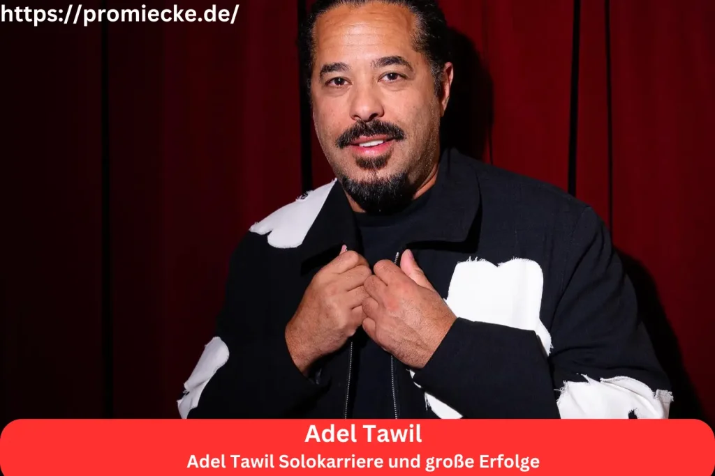 Adel Tawil Solokarriere und große Erfolge