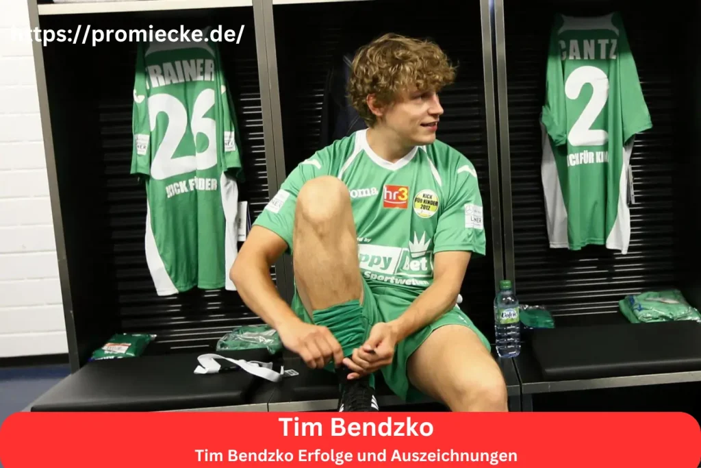 Tim Bendzko Erfolge und Auszeichnungen