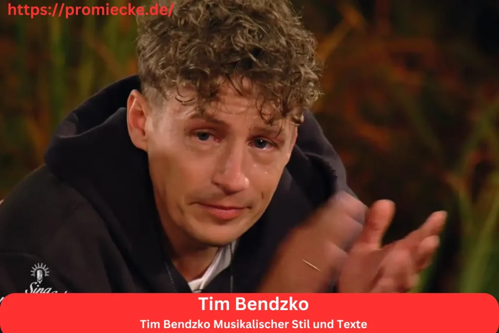 Tim Bendzko Musikalischer Stil und Texte