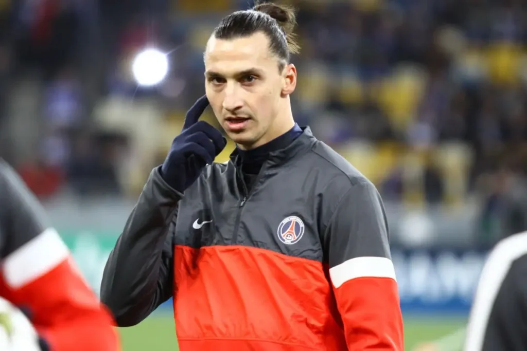 Zlatan Ibrahimovic Vermögen