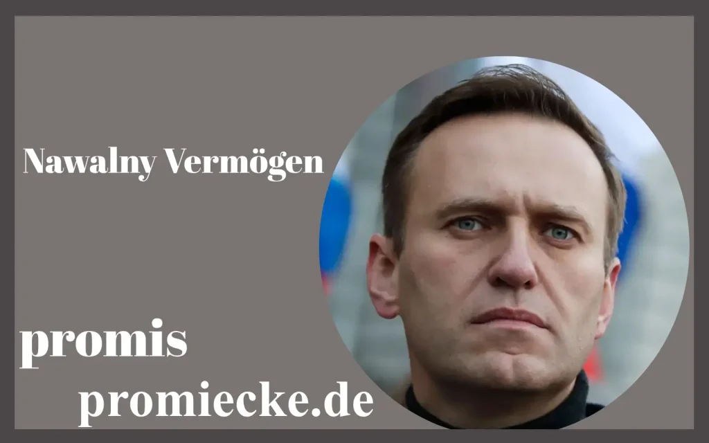 Nawalny Vermögen