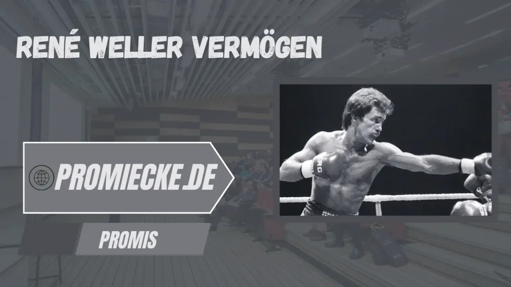 „René Weller Vermögen