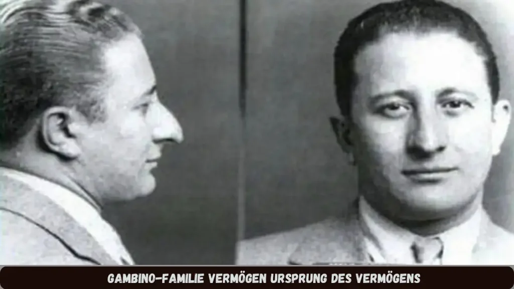 Gambino-Familie Vermögen Ursprung des Vermögens