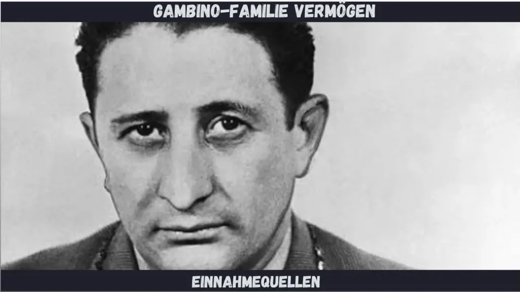 Gambino-Familie Vermögen Einnahmequellen