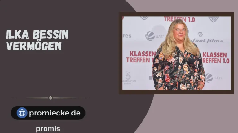 Ilka Bessin Vermögen