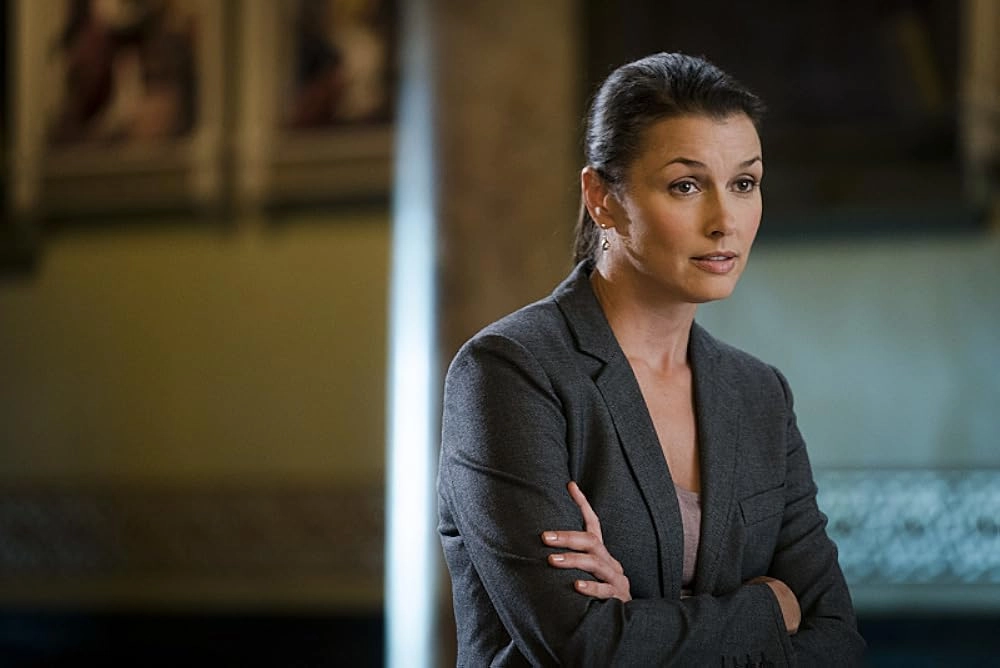 Bridget Moynahan Einnahmequellen nach Kategorien