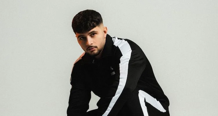 dardan Vermögen nach Kategorien